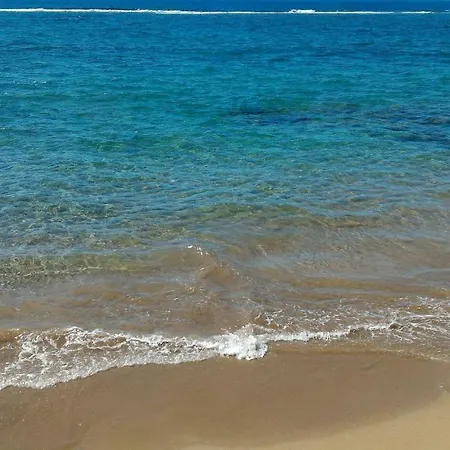 Estrella De Mar *